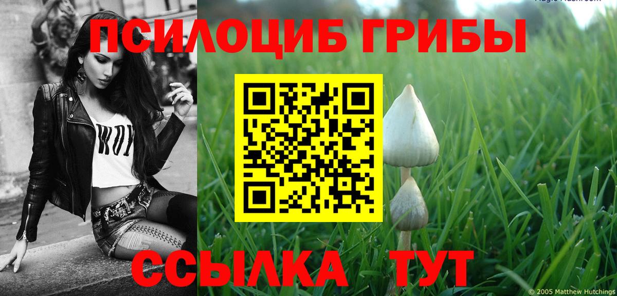 Галлюциногенные грибы мухоморы Котовск