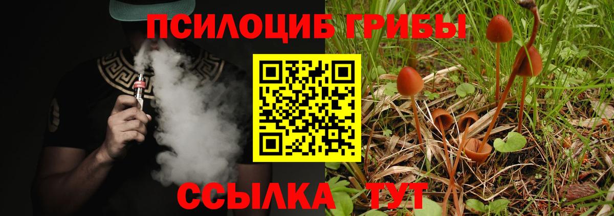 Псилоцибиновые грибы мухоморы  Псилоцибиновые грибы Psilocybine cubensis  Вход с VPN  Котовск 